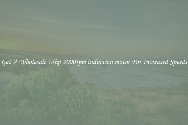 Get A Wholesale 75hp 3000rpm induction motor For Increased Speeds