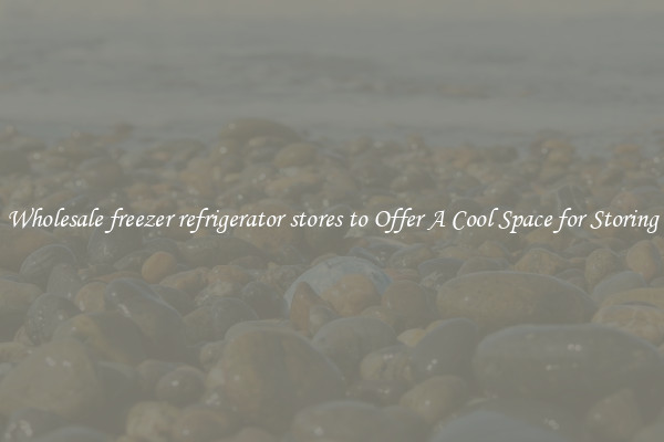 Wholesale freezer refrigerator stores to Offer A Cool Space for Storing