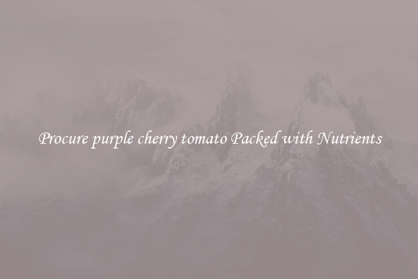 Procure purple cherry tomato Packed with Nutrients