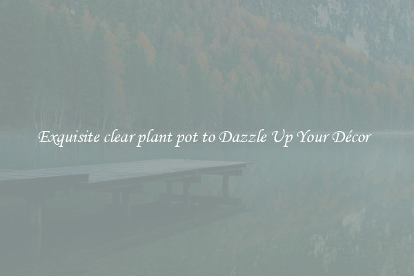 Exquisite clear plant pot to Dazzle Up Your Décor  