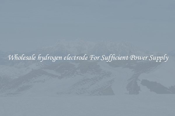 Wholesale hydrogen electrode For Sufficient Power Supply