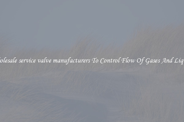 Wholesale service valve manufacturers To Control Flow Of Gases And Liquids