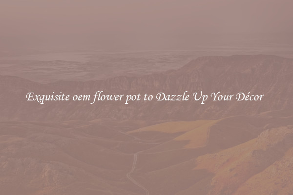 Exquisite oem flower pot to Dazzle Up Your Décor  