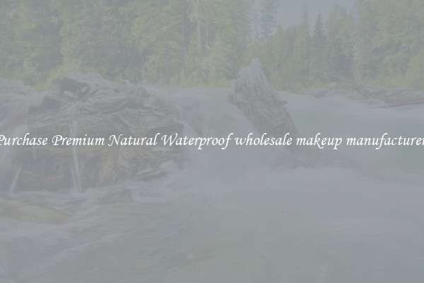 Purchase Premium Natural Waterproof wholesale makeup manufacturers