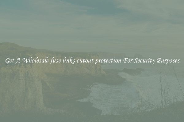 Get A Wholesale fuse links cutout protection For Security Purposes