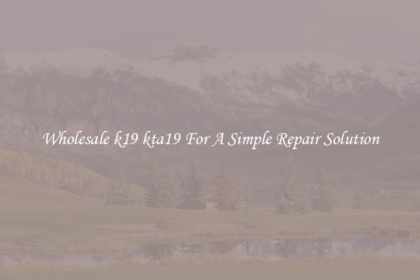 Wholesale k19 kta19 For A Simple Repair Solution