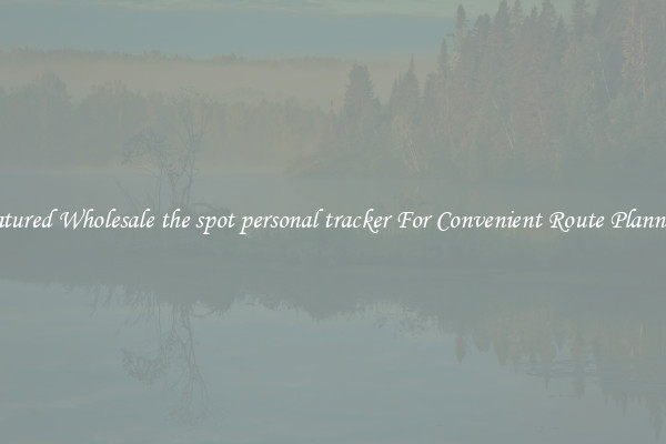 Featured Wholesale the spot personal tracker For Convenient Route Planning 