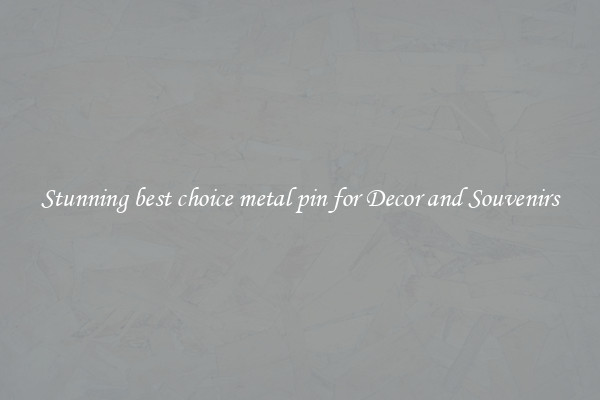 Stunning best choice metal pin for Decor and Souvenirs