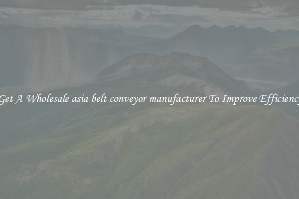 Get A Wholesale asia belt conveyor manufacturer To Improve Efficiency