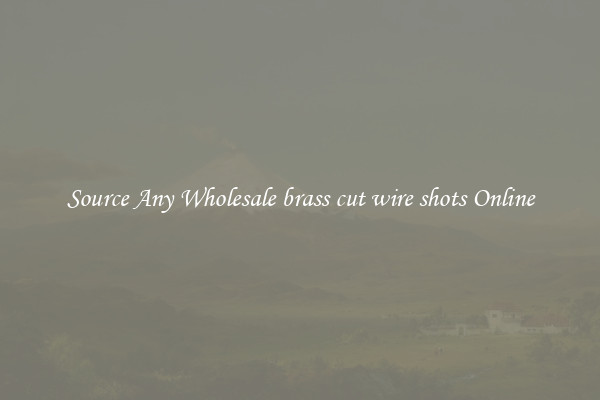 Source Any Wholesale brass cut wire shots Online
