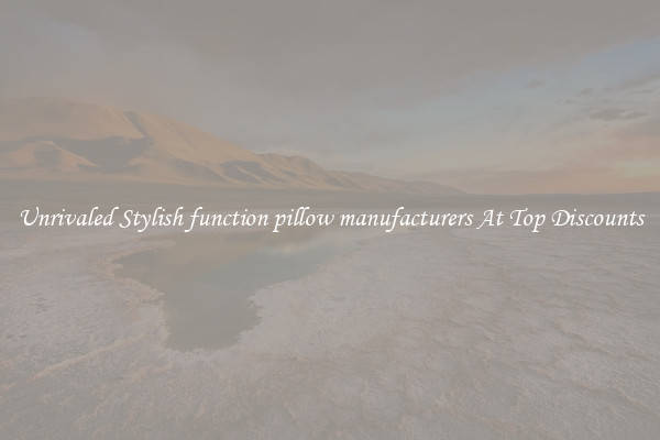 Unrivaled Stylish function pillow manufacturers At Top Discounts