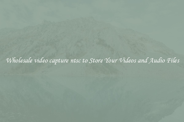 Wholesale video capture ntsc to Store Your Videos and Audio Files