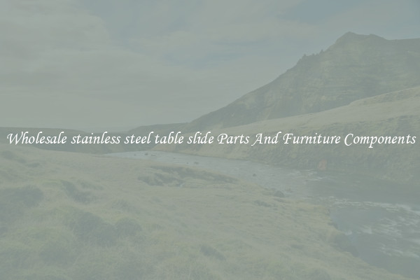 Wholesale stainless steel table slide Parts And Furniture Components