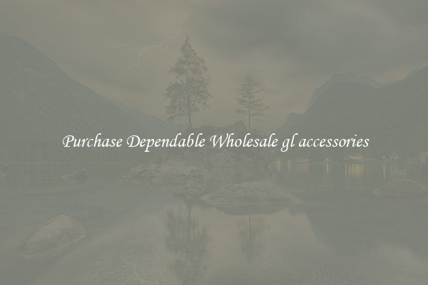 Purchase Dependable Wholesale gl accessories