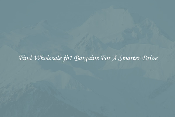 Find Wholesale fb1 Bargains For A Smarter Drive