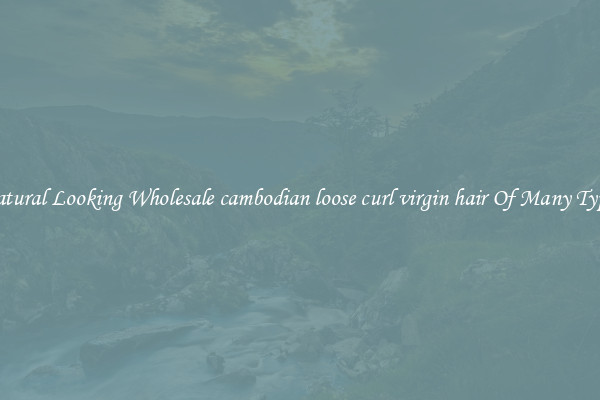 Natural Looking Wholesale cambodian loose curl virgin hair Of Many Types
