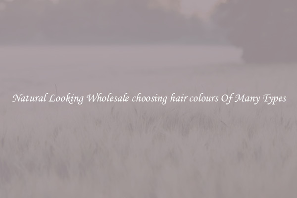 Natural Looking Wholesale choosing hair colours Of Many Types
