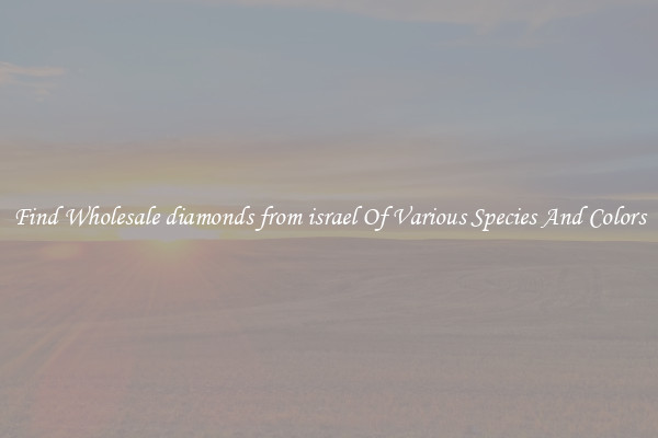 Find Wholesale diamonds from israel Of Various Species And Colors