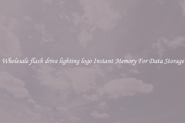 Wholesale flash drive lighting logo Instant Memory For Data Storage