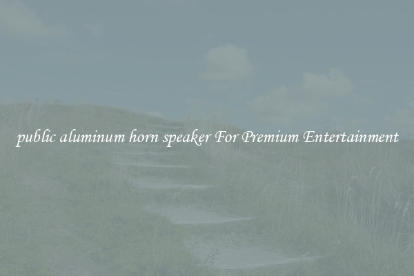 public aluminum horn speaker For Premium Entertainment