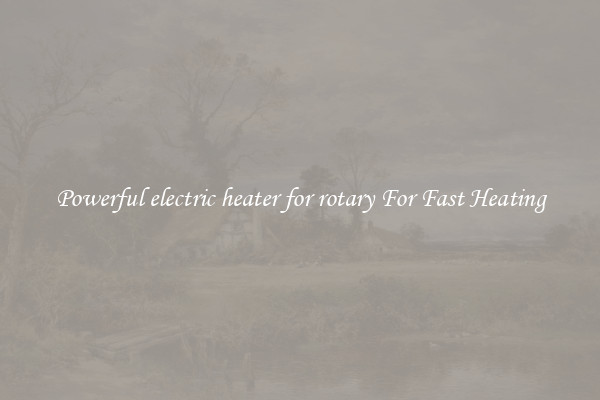 Powerful electric heater for rotary For Fast Heating