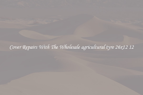  Cover Repairs With The Wholesale agricultural tyre 26x12 12 