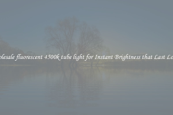Wholesale fluorescent 4500k tube light for Instant Brightness that Last Longer