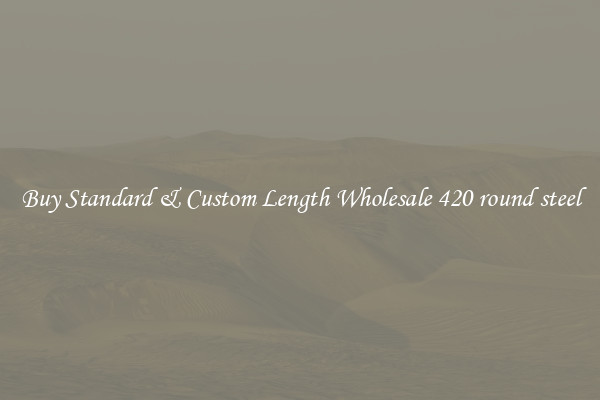 Buy Standard & Custom Length Wholesale 420 round steel