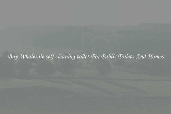 Buy Wholesale self cleaning toilet For Public Toilets And Homes